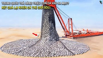 Trung Quốc Thả HÀNG TRIỆU CON CÁ Vào SA MẠC, Một Năm Sau, Kết Quả Khiến Thế Giới SỐC! | T - TOP5