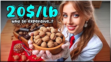 Most Expensive Nuts in the World & Why they are so Expensive?