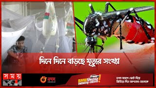 ডেঙ্গু জ্বরে কাঁপছে দেশ | Dengue Situation | Dengue Fever | Somoy TV screenshot 5