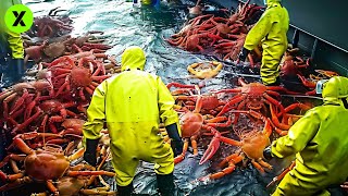 INCREÍBLE Captura del CANGREJO REAL 🦀 | Así se PESCAN Toneladas del CANGREJO más GRANDE de Alaska