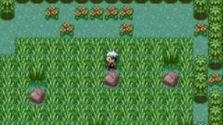 Pokemon Emerald Mew Event