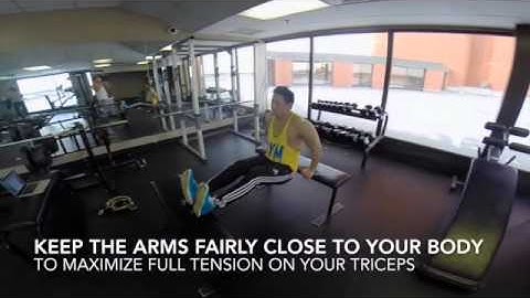 Exercise Progression and Regression