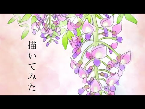 Ibis Paint 藤の花の描き方 Youtube