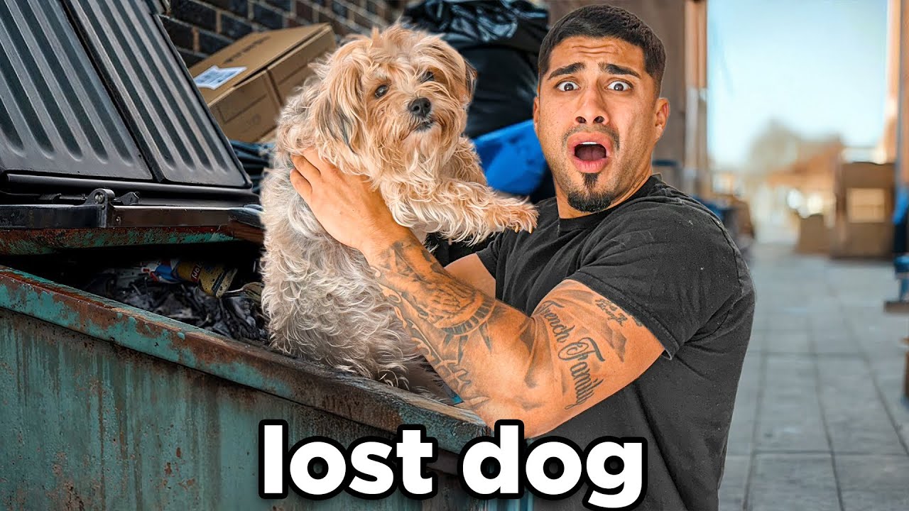 We Found a Lost Dog All Alone - YouTube