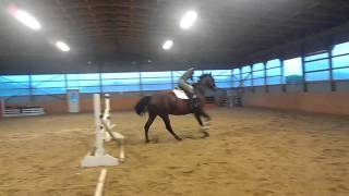 VIDEO0123.mp4