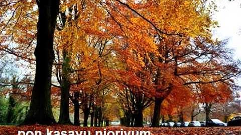 Pon kasavu njoriyum
