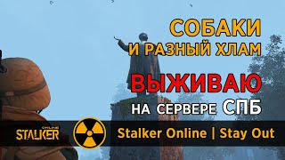 31. Собаки и разный хлам. Сервер СПБ. Сталкер Онлайн | Stalker Online | Stay Out