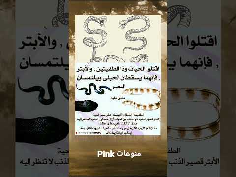 اقتلوا الحيات وذا الطفيتين