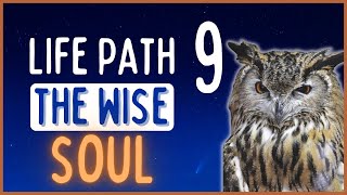 Life Path 9 | Personality SECRETS About “The Wise Soul!”  | Chasing Solana ☀