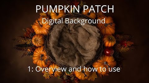 Pumpkin Patch Digital Background tutorial video 1