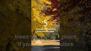 Plant This For Rich Fall Color