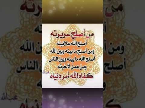 تواصل الصالحين نصائح من ذهب مقولات ابن القيم