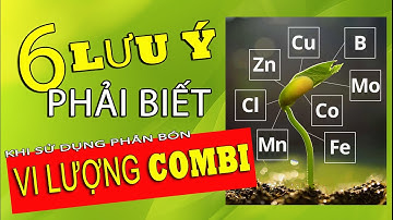 Vi lượng COMBI những lưu ý không thể bỏ qua khi sử dụng cho cây trồng l Nông Dược Xanh TV