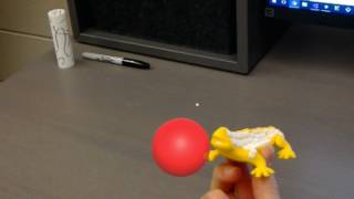 Dynamic Object Tracking - Ball