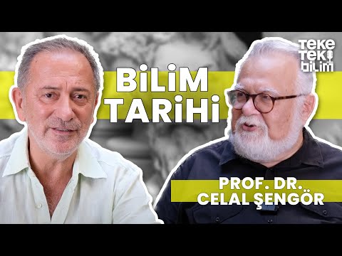 Video: Bilim adamları ve sıradan gezginler açısından körfez nedir?