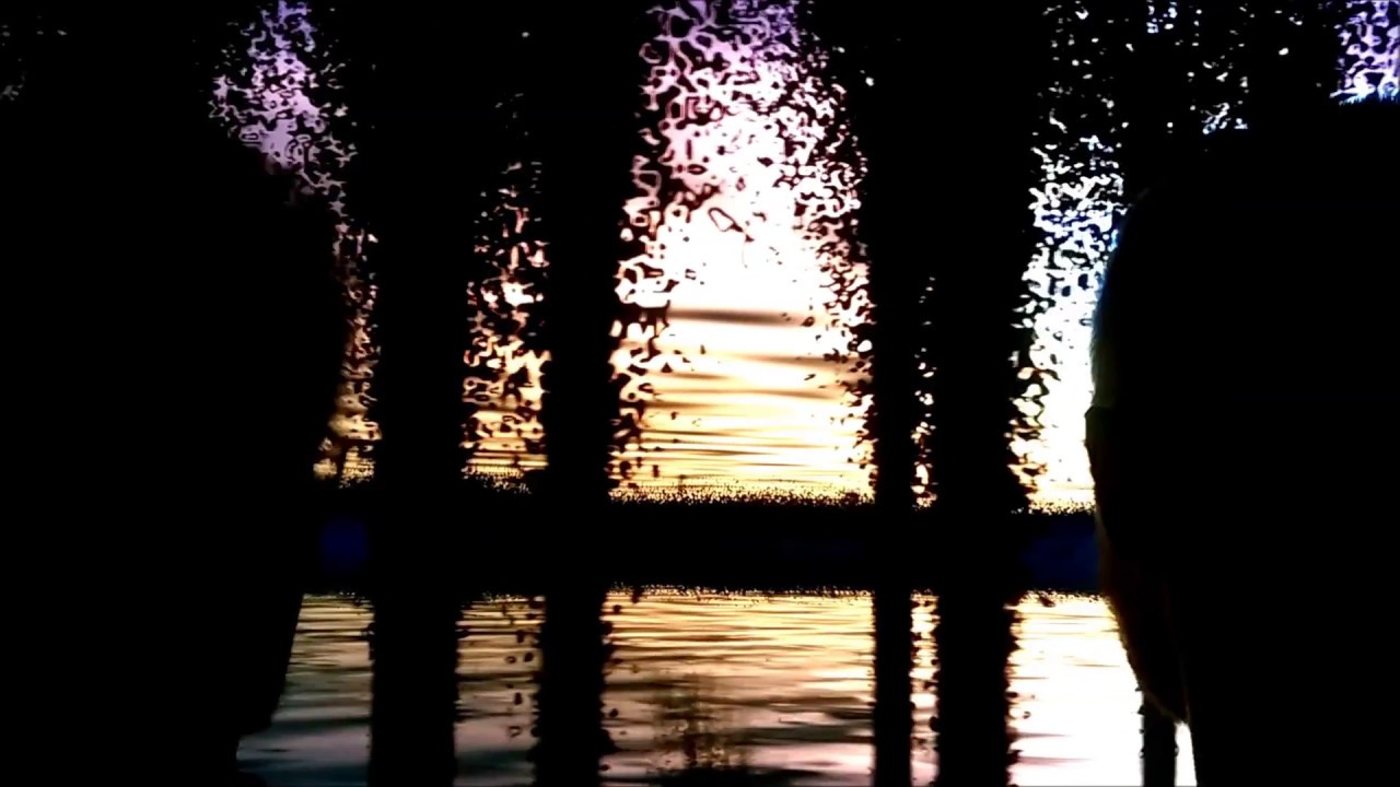 Watch decto & Flip Laney - Lost Leafs on YouTube Watch decto & Flip Laney - Lost Leafs on YouTube