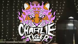 Charlie Tiger - Bobby Bitch MV