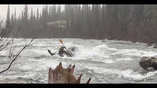 Alaska archery moose hunt