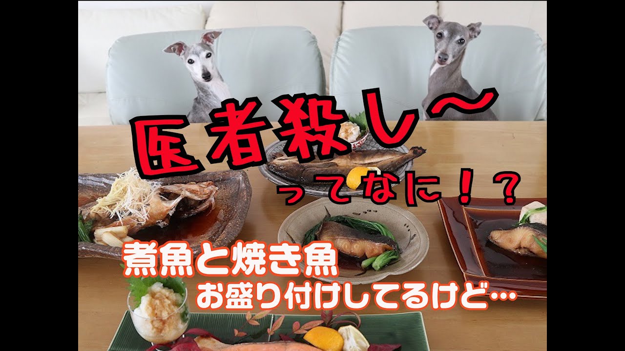 医者殺し と言うお魚の食べ方のお話と オシャレな煮魚 焼き魚のお盛り付けをします Youtube