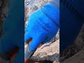 moment of finding treasure treasure hunt #treasure #metaldetecto #treasurehunt #клад #define