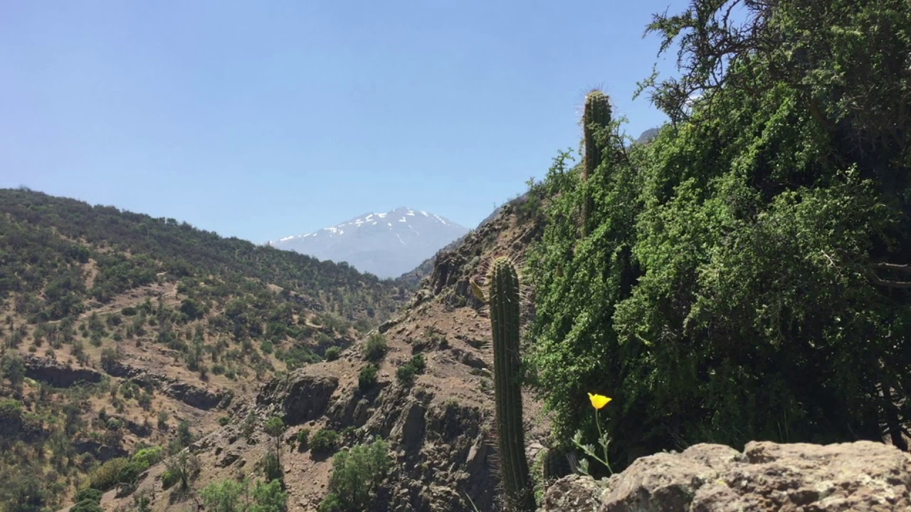 CHILEAN MOUNTAIN, BIRDS and WIND - Relax by Nature