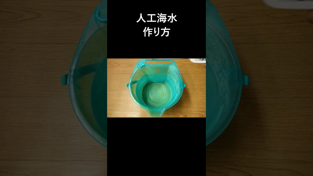 海水 の 作り方