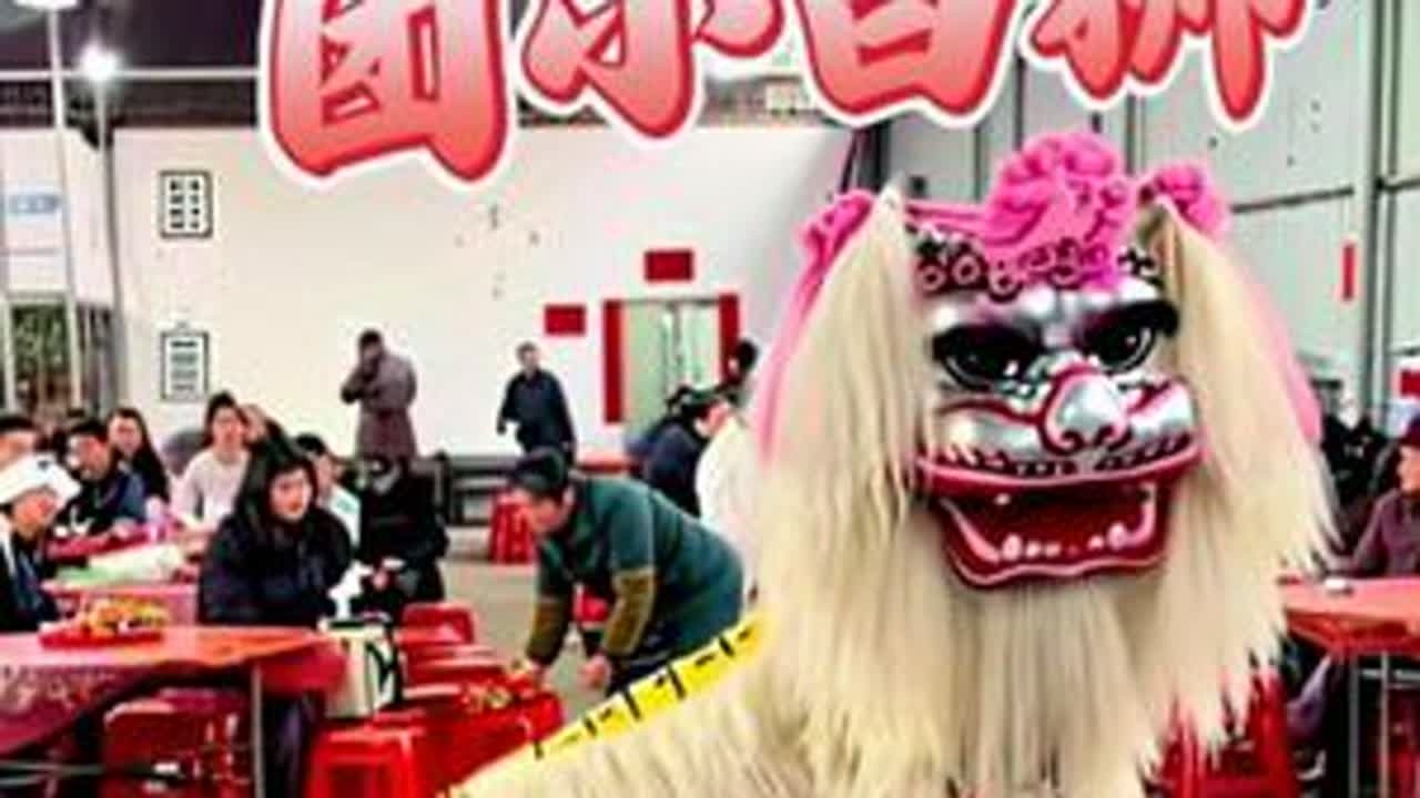 老秋舞狮团在零陵古城😭😭😭三狮表演~#非物质文化 #舞狮 #湖南小白狮 #永州小白狮 #老秋舞狮团