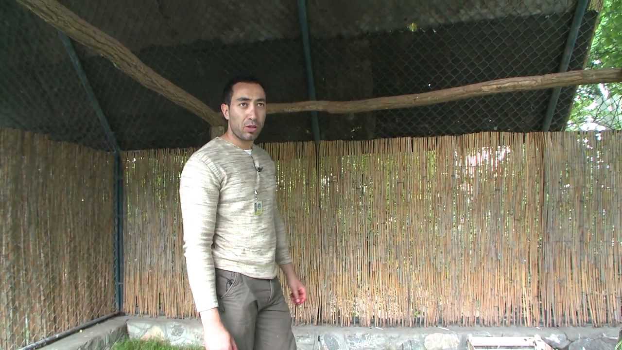 Belgrade Zoo 2011 Episode 11 Part 1