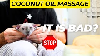 Is Coconut Oil Massage Bad for Sphynx Cats? Discover the Truth! by Royal Animals 👑 3,060 views 1 year ago 8 minutes, 19 seconds