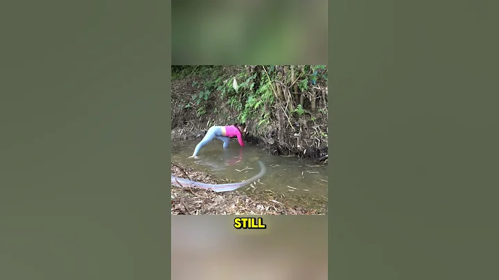 Most bizzare fishing technique 🐟😳 #shorts #fishing #viralshorts