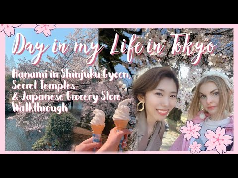 day in my life in tokyo | hanami in shinjuku gyoen, temples & japanese ...