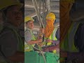 Ceiling Hanger Frame Installation
