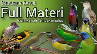 BURCIL FULL MATERI‼️ISIAN MEWAH TEMBAKAN JAHAT. 