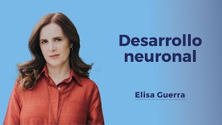 Desarrollo neuronal
