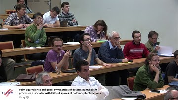 Yanqi Qiu: Palm equivalence and quasi-symmetries of determinantal point processes associated