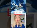 New video by BBC News on YouTube