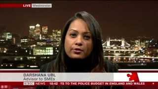 BBC News - 2015 Autumn Statement - Small Business Review