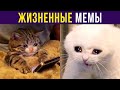 ЖИЗА) Приколы | Мемозг #405