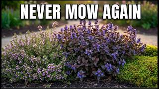 7 Low-Maintenance Groundcovers That Replace Your Grass Lawn Forever