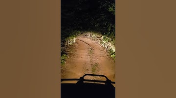Thumbnail of Wendigo spotted! 2021