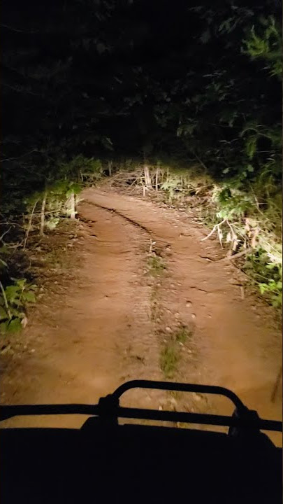 Wendigo spotted! 2021