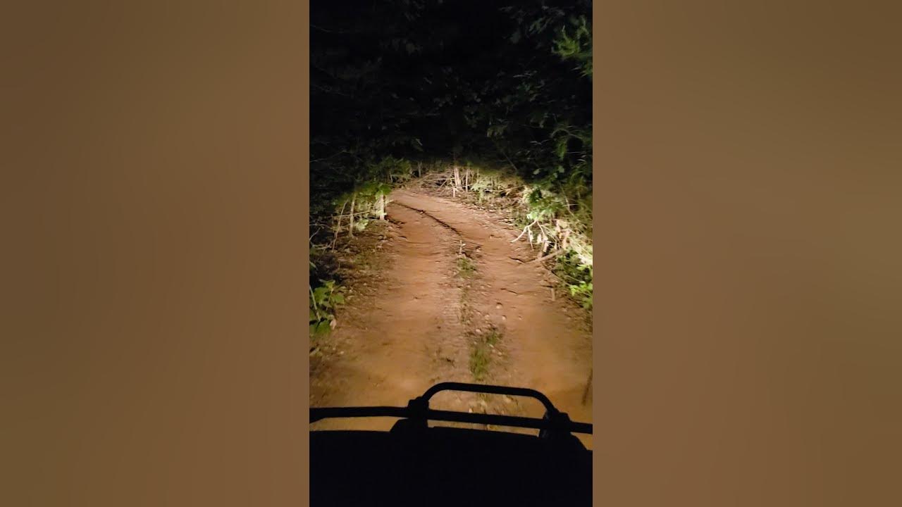 Wendigo spotted! 2021