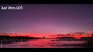 Just Vibes 065 - Psychedelic Trance mix