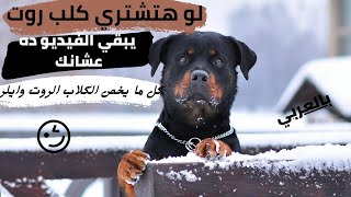 جميع المعلومات عن كلاب الروت وايلر| مجد علي Magd Ali