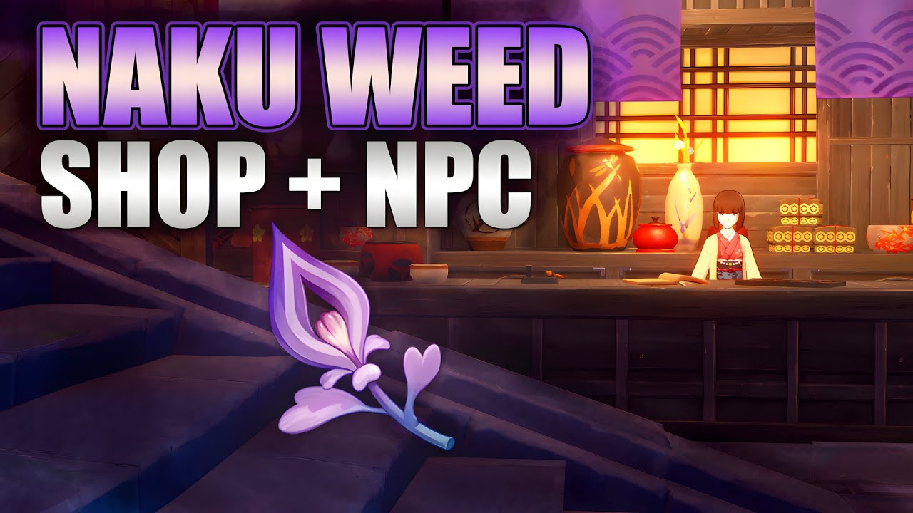 Naku Weed Genshin Shop - Locations