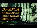 Co gdyby krasnoludy nie odzyskay ereboru smaug panem rdziemia gocinnie baldwarf