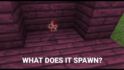 How to get the hidden spawn egg in minecraft pe 2022