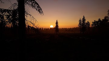 Update! After Infection | Setting up a dedicated server