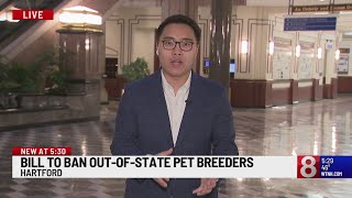 Legislator looking to ban pet sales from out-of-state breeders