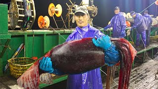 Life on an Automatic Gian Squid Fishing Vessel, Catch Giant Squid Cutting and process in The Boat